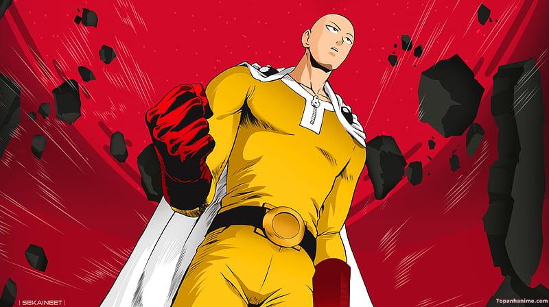 Mẫu ảnh Saitama 16
