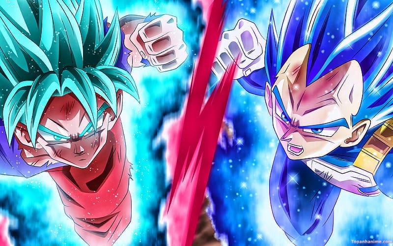 Mẫu Ảnh Vegeta 22