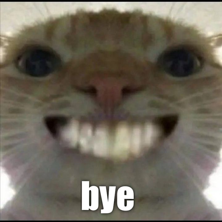 Meme bye 19