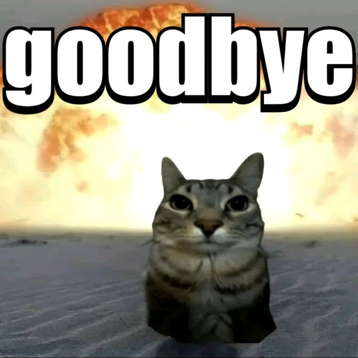 Meme bye 11