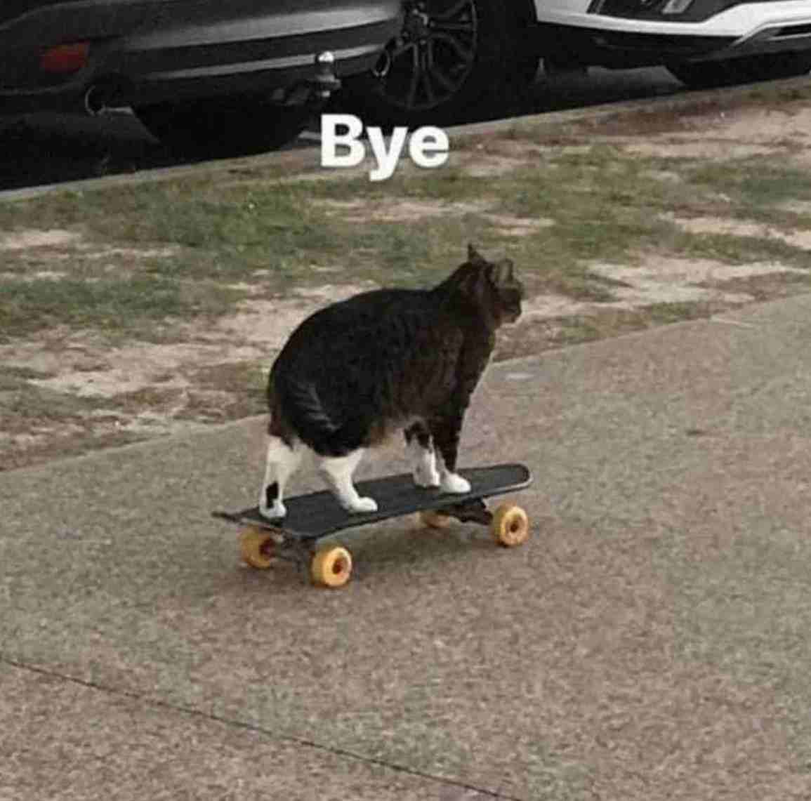 Meme bye 13