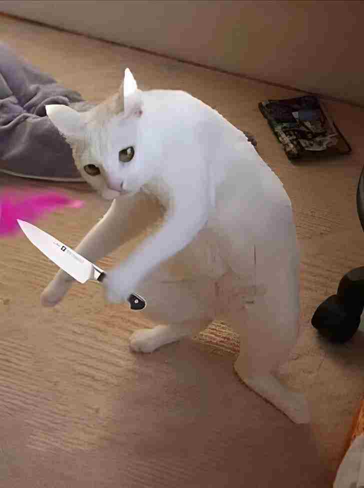 Meme Cắm Dao 13
