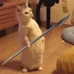 169+ Meme Cắm Dao Hài Hước Châm Biếm Mọi Tình Huống