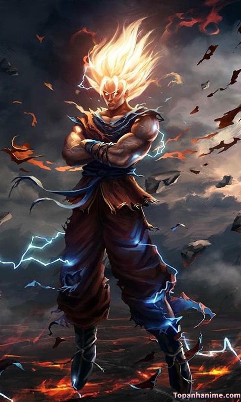 Mẫu Ảnh Vegeta 29