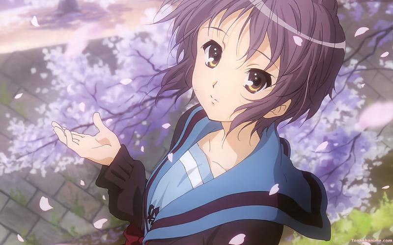 Ảnh Yuki Nagato 6
