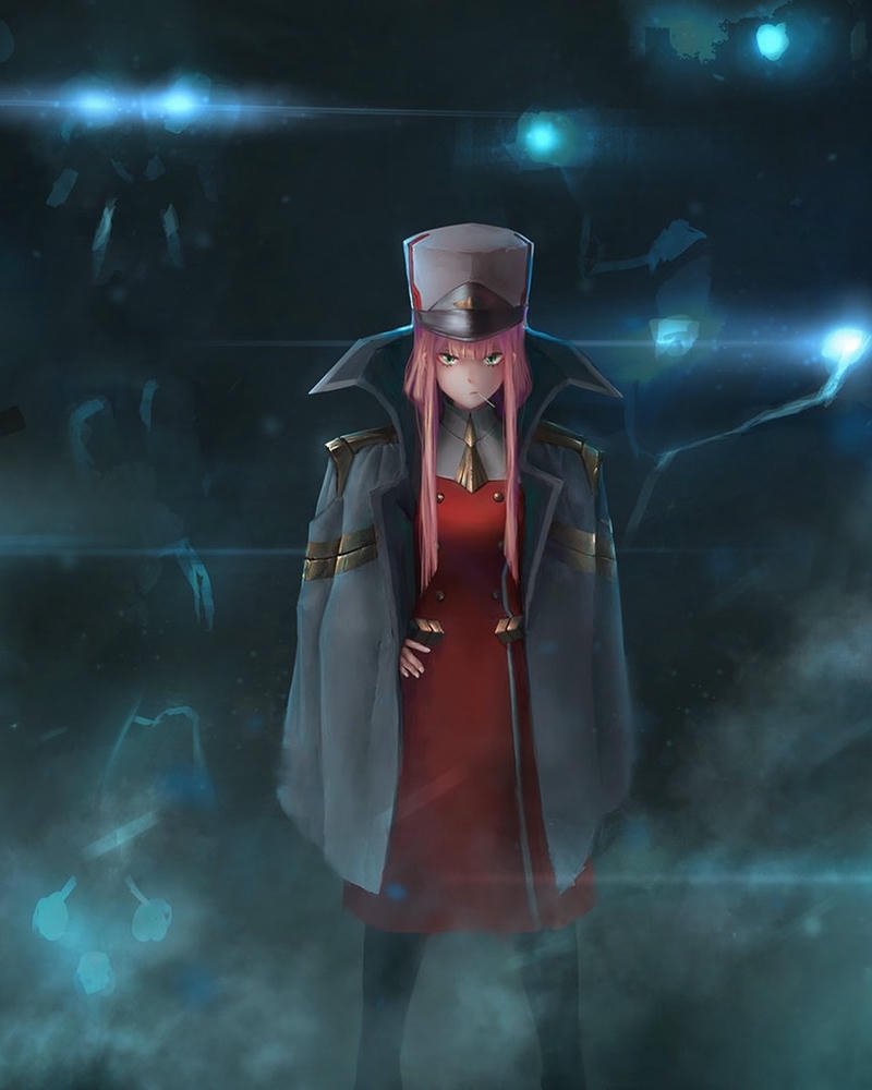 ảnh Zero Two 27