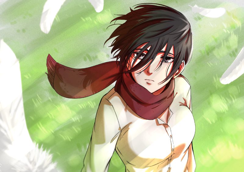 ảnh Mikasa 16