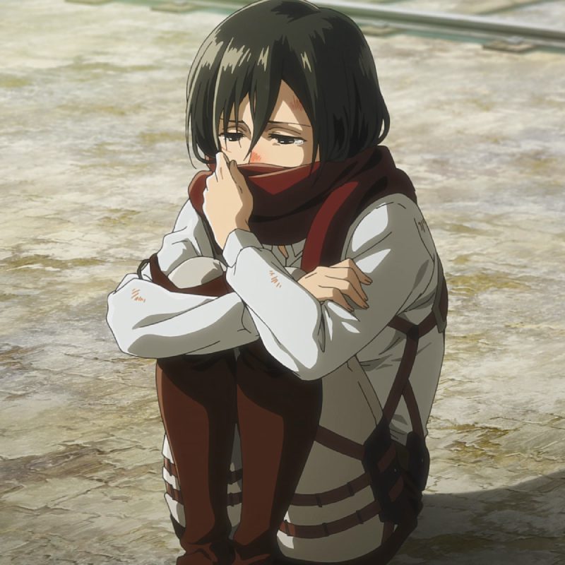 ảnh Mikasa 18