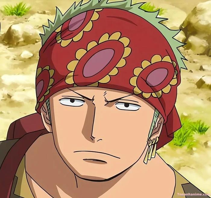 Mẫu ảnh Roronoa Zoro 35