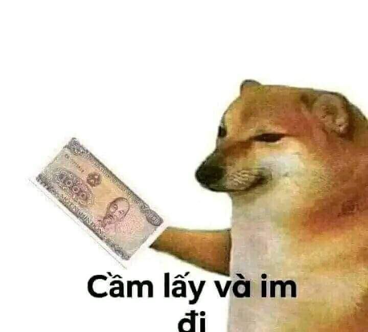 Ảnh chó meme 7