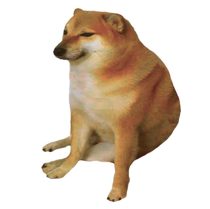 Ảnh chó meme 10