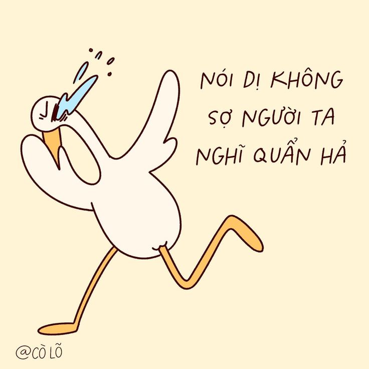 Ảnh Hài 11
