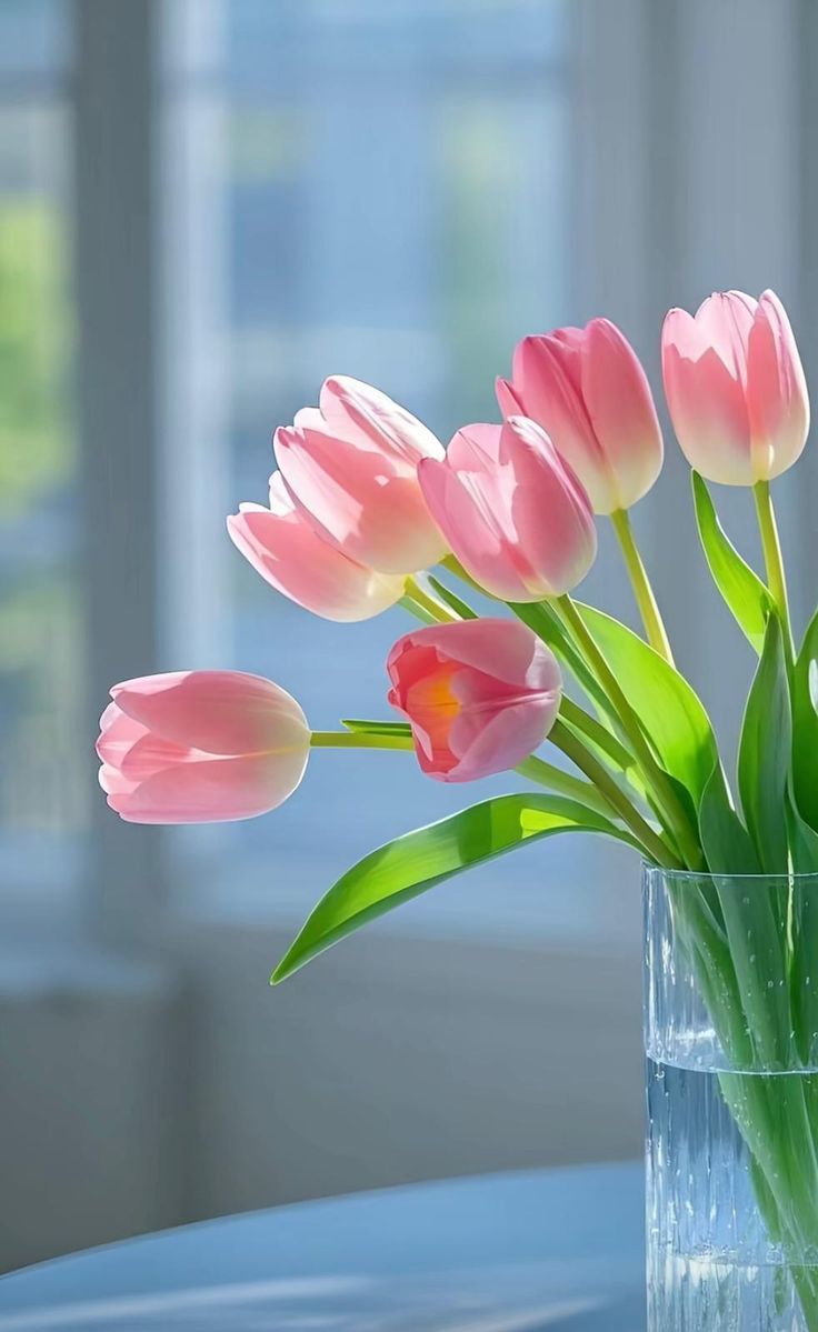 Ảnh Hoa Tulip 2
