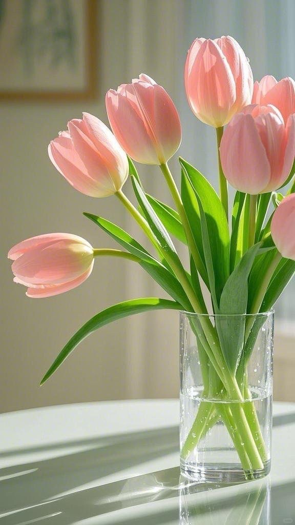 Ảnh Hoa Tulip 4