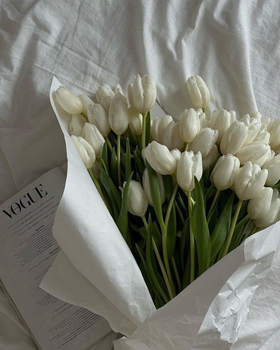 Ảnh Hoa Tulip 13