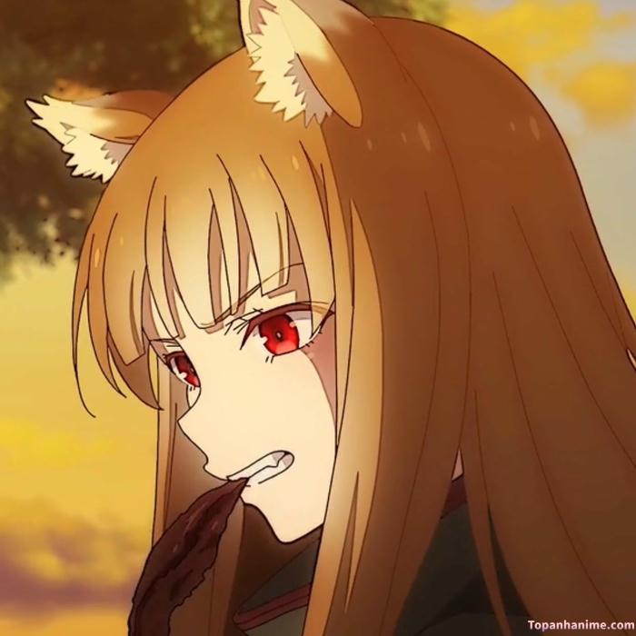 Mẫu ảnh Holo 7