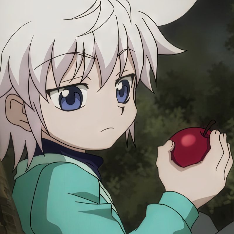 ảnh killua 8