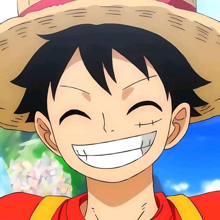 Ảnh Luffy Cười 12