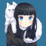 99+ Hình Ảnh Mèo Anime Siêu Dễ Thương Khiến Bạn Tan Chảy