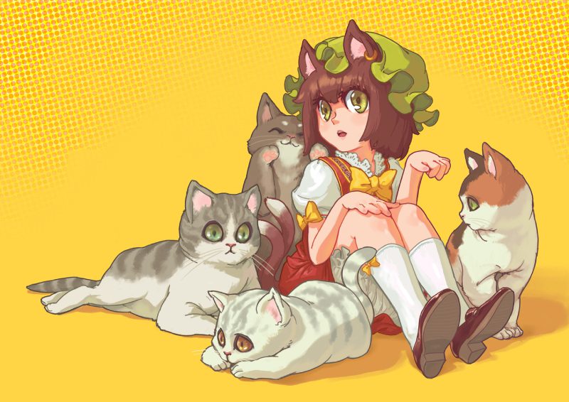 mèo anime 5