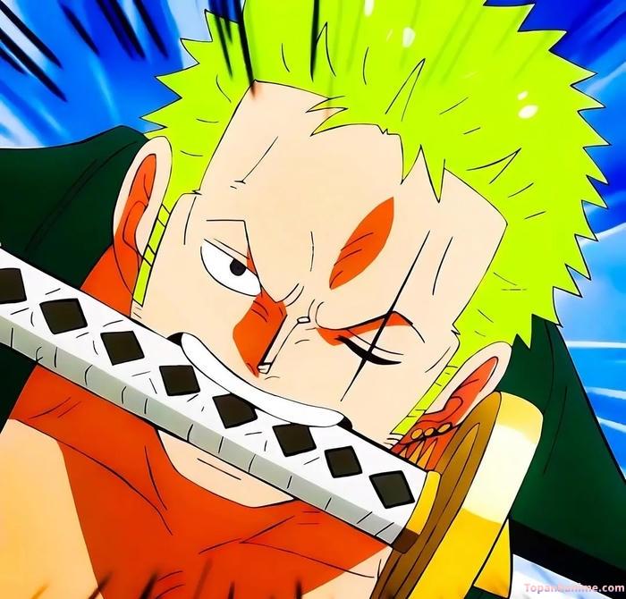 Mẫu ảnh Roronoa Zoro 7