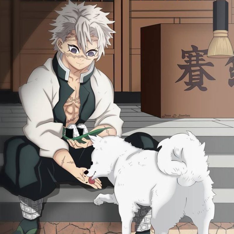 ảnh Sanemi 16