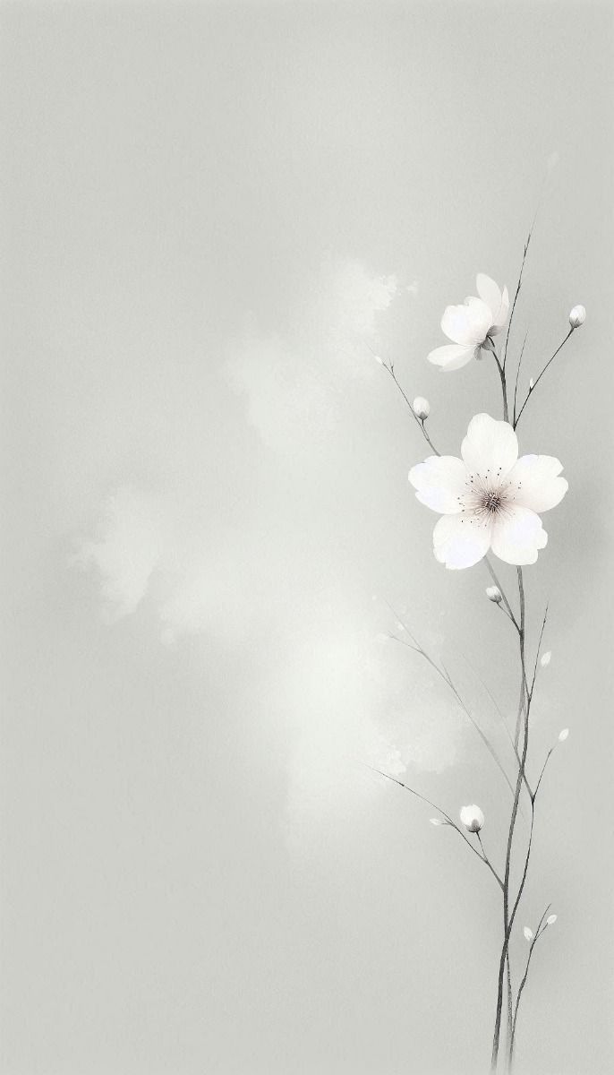 Ảnh Trắng 13