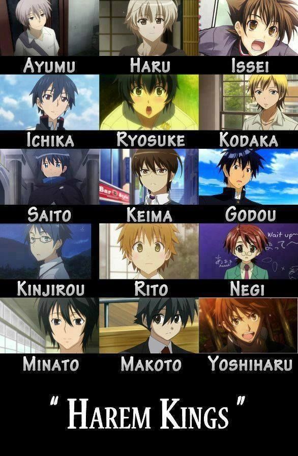 ảnh Anime Harem 2
