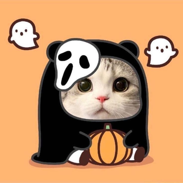 Ảnh Avatar Mèo Cute 15