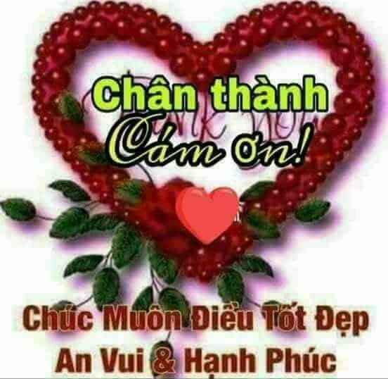 Cảm Ơn Meme 6