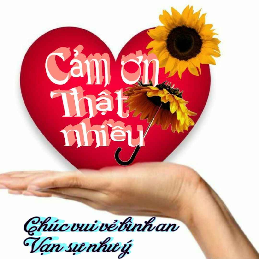 Cảm Ơn Meme 10