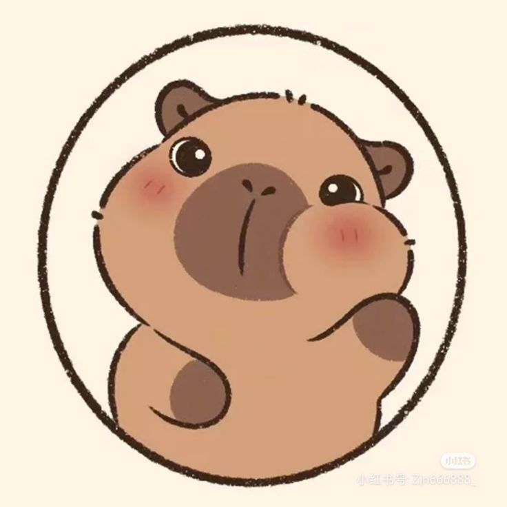 Cute Capybara 15