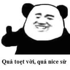 355+ Ảnh Gấu Trúc Meme: Cười Thả Ga Với Khoảnh Khắc Đáng Yêu