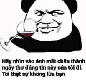 ảnh Gấu Trúc Meme 7