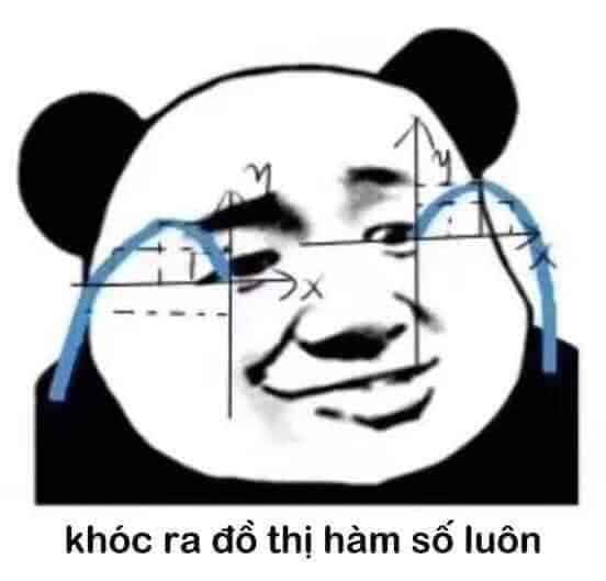ảnh Gấu Trúc Meme 12