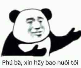 ảnh Gấu Trúc Meme 14