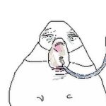 Ngắm Nhìn 199+ Meme Hamster Cực Đáng Yêu Và Hài Hước