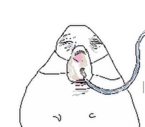 Ngắm Nhìn 199+ Meme Hamster Cực Đáng Yêu Và Hài Hước