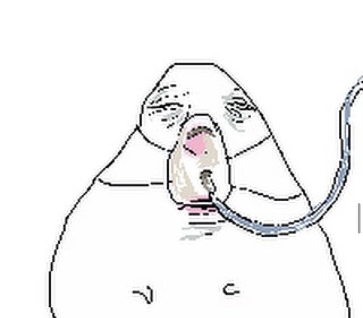 Hamster Meme 5