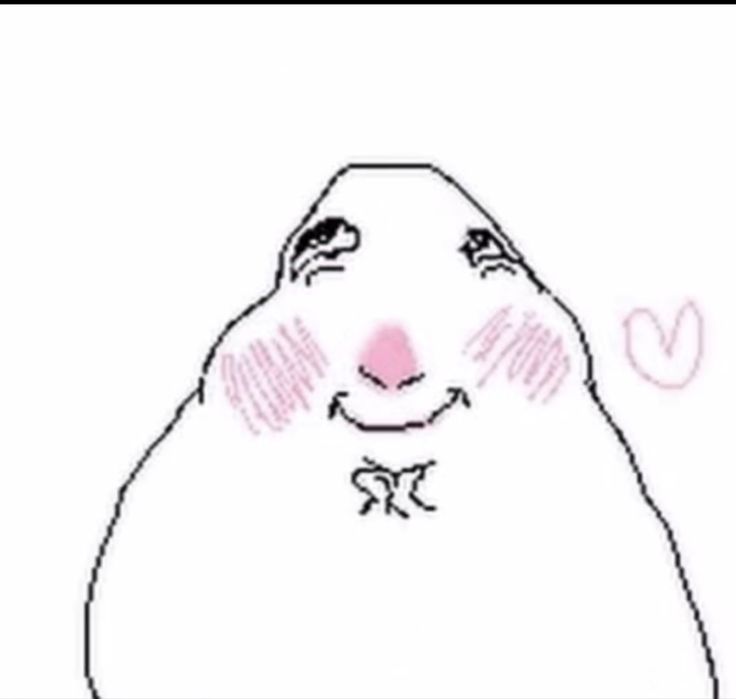Hamster Meme 3