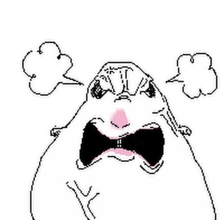 Hamster Meme 13
