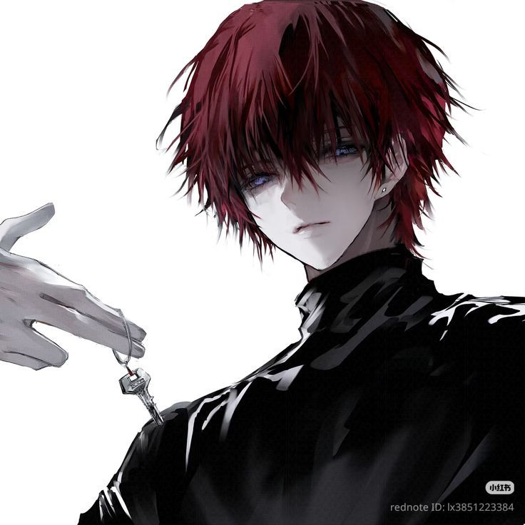 Hình Ảnh Anime Ngầu Nam 2