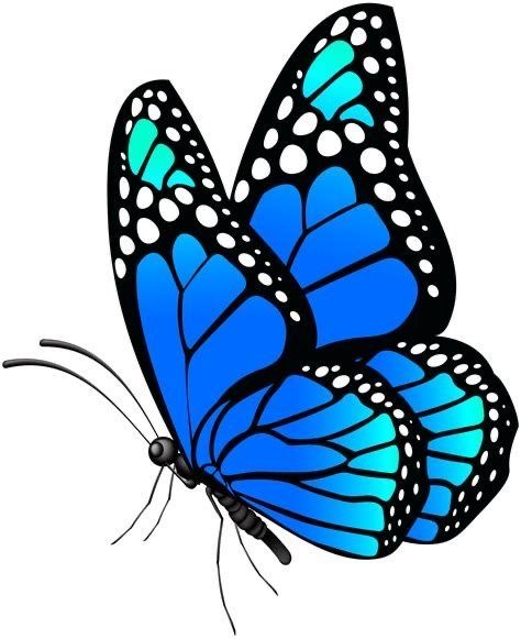 Hình Ảnh Con Bướm 1