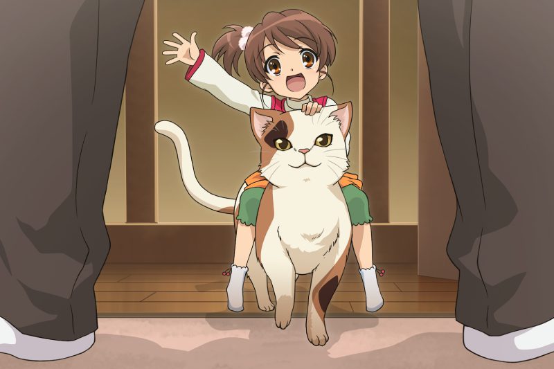 mèo anime 9