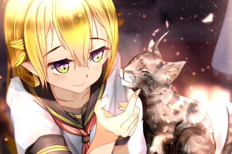 ảnh mèo anime 14