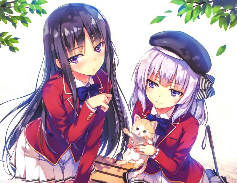 mèo anime 18