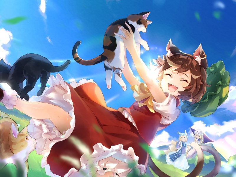 ảnh mèo anime 5