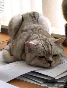 119+ Hình Ảnh Mệt Mỏi: Biểu Cảm Chân Thực Của Cuộc Sống