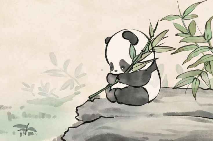Hình Nền Gấu 7