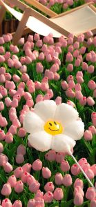 199+ Hình Nền iPhone Đẹp Cute: Làm Mới Dế Yêu Của Bạn Ngay Hôm Nay!
